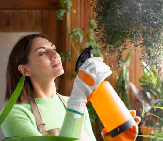 Vinaigre blanc désherbant interdit : quelles alternatives légales ? vinaigre blanc désherbant interdit