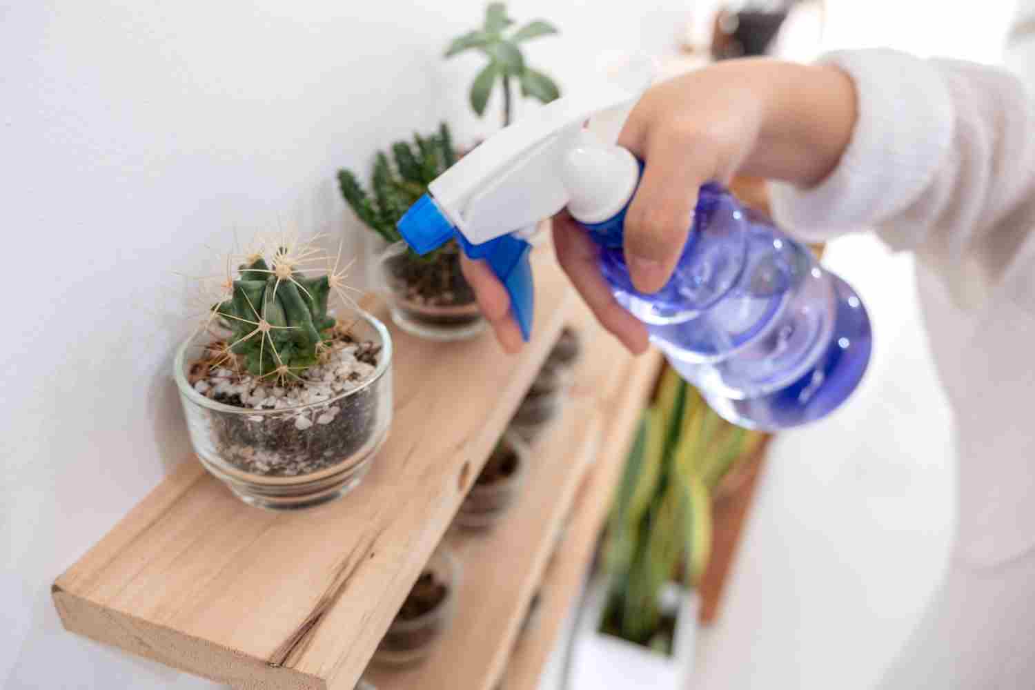 vinaigre blanc désherbant interdit